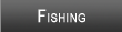 Hartwell Lake Fishing